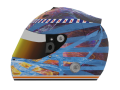 Thumbnail for version as of 15:52, 18 January 2019